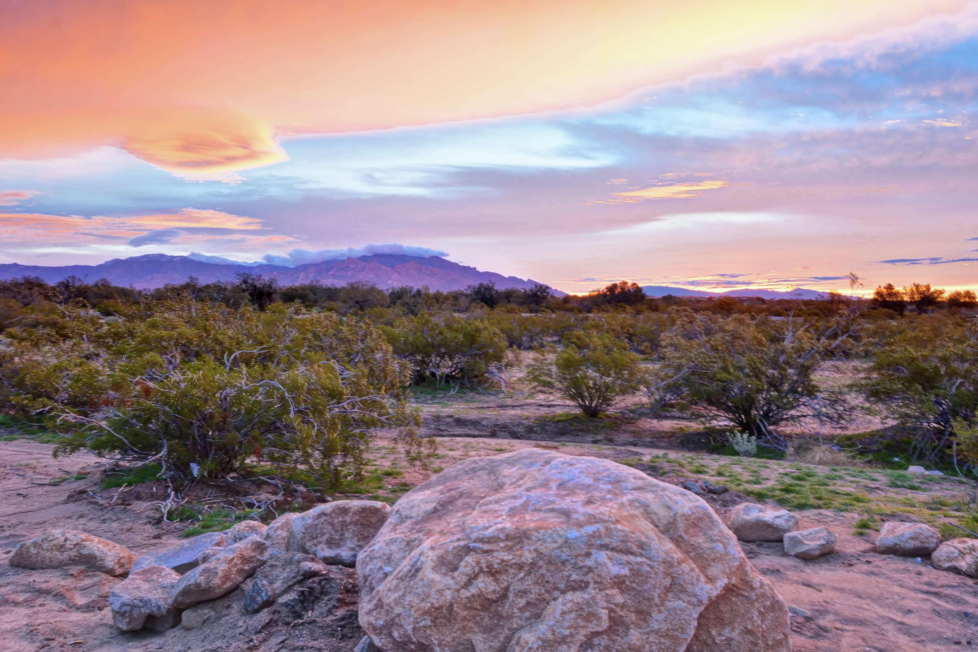 Hampton Inn & Suites Tucson Marana Εξωτερικό φωτογραφία